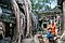 Dschungeltempel Ta Phrom (vergrößern) Dschungeltempel Ta Phrom
