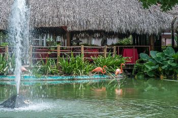 Hotel Natura Park