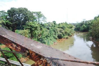 Kithulgala